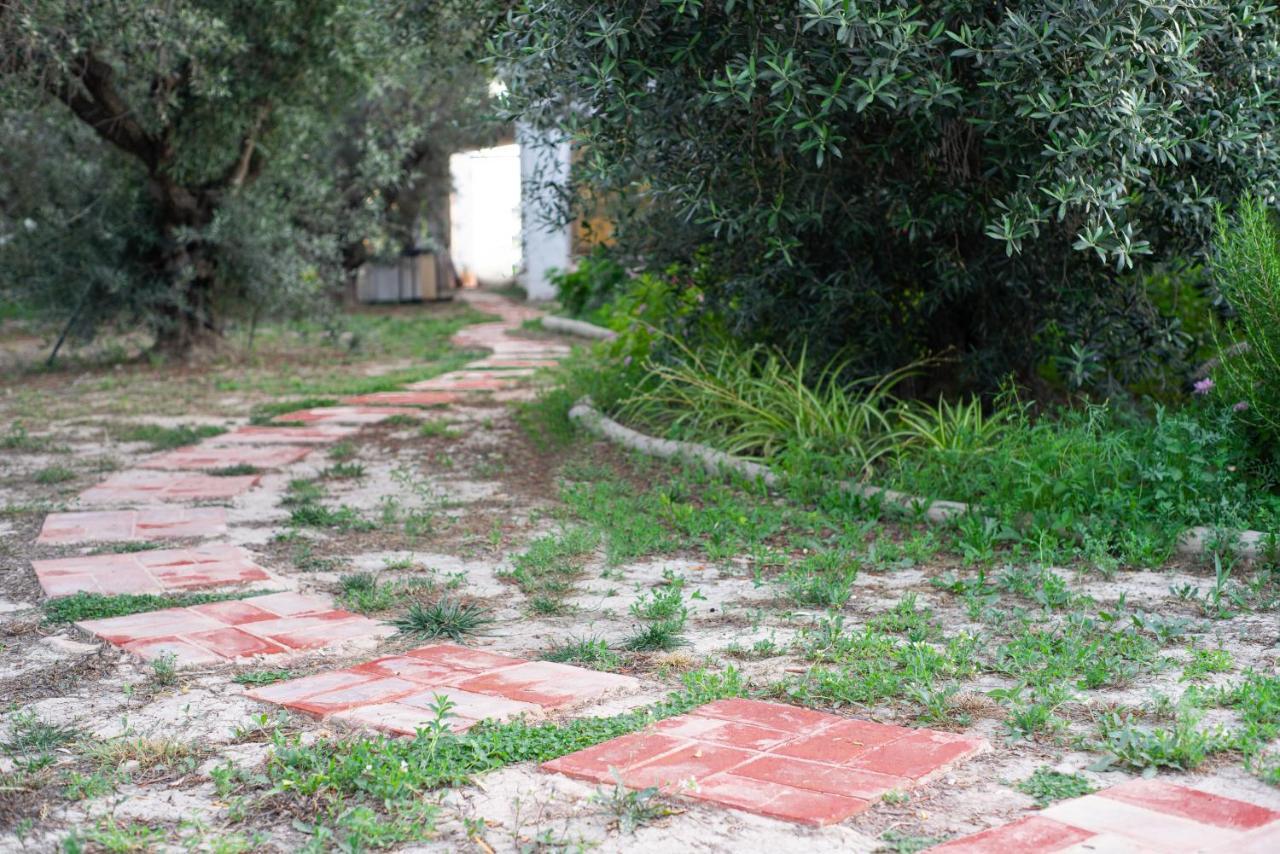 Casa De Campo Mediterranea En Alicante Agost ภายนอก รูปภาพ