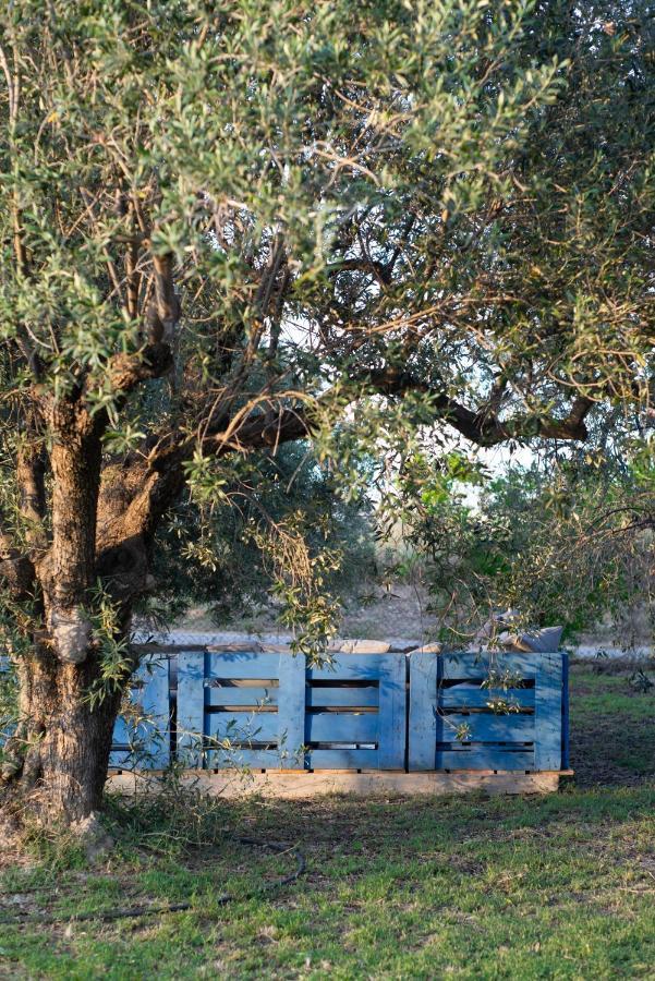 Casa De Campo Mediterranea En Alicante Agost ภายนอก รูปภาพ