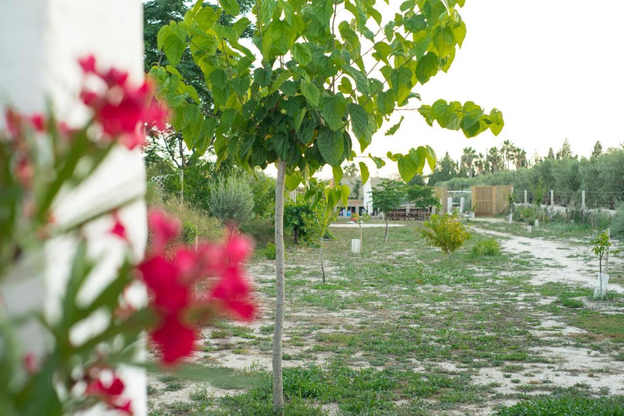 Casa De Campo Mediterranea En Alicante Agost ภายนอก รูปภาพ